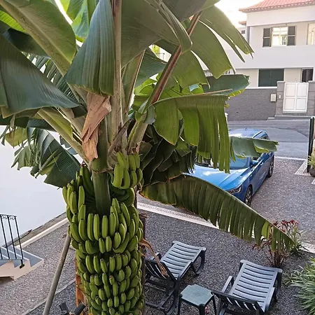 Maresia's House Apartamento Madalena do Mar